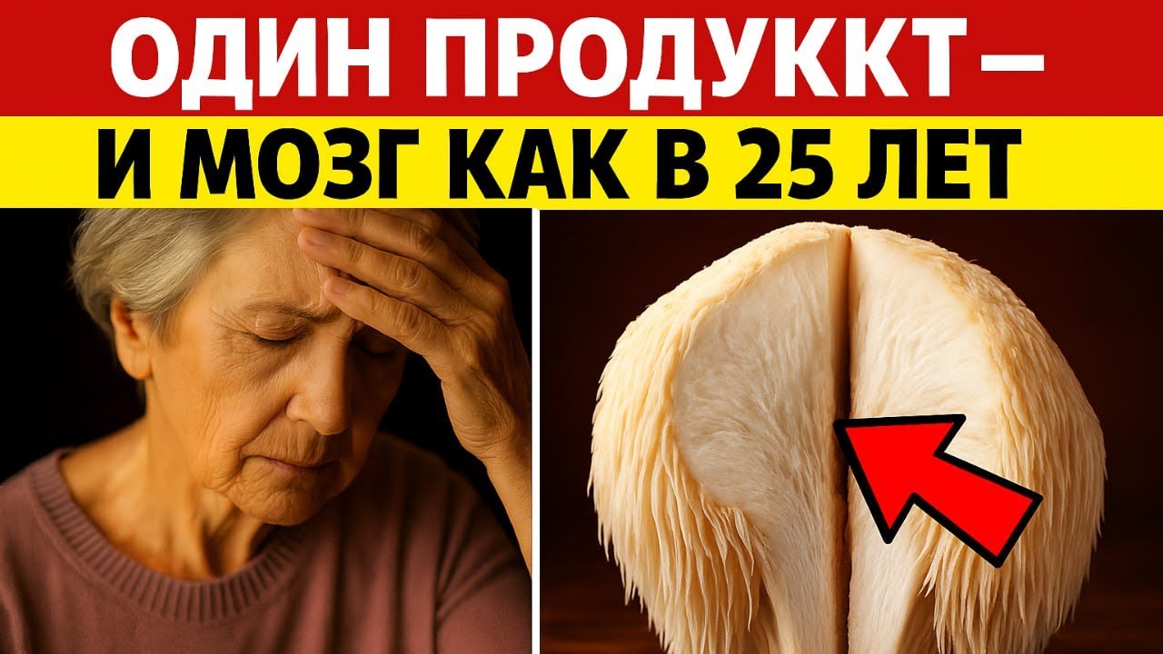 Продукт №1 против деменции после 60 | Питание для пожилых