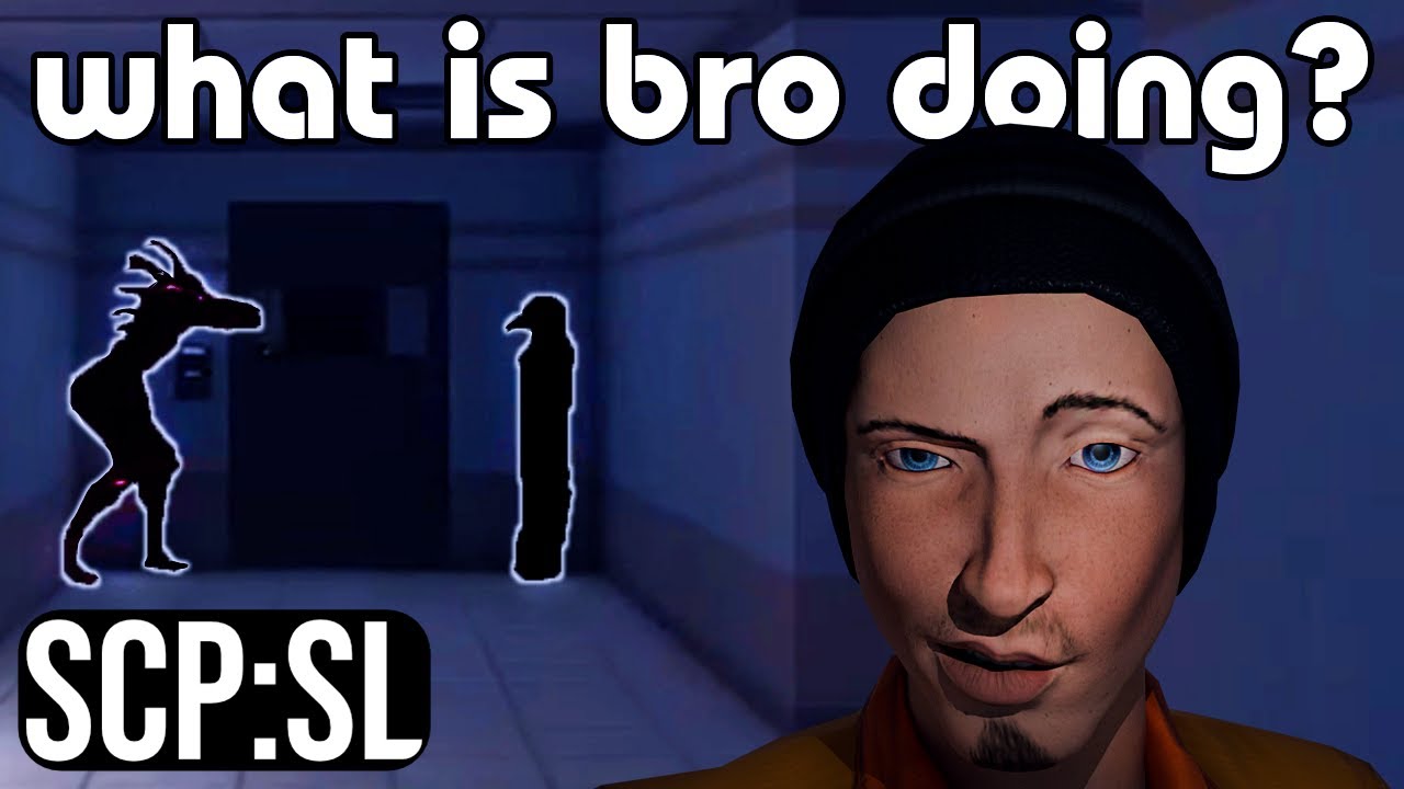 The NPC's of SCPSL