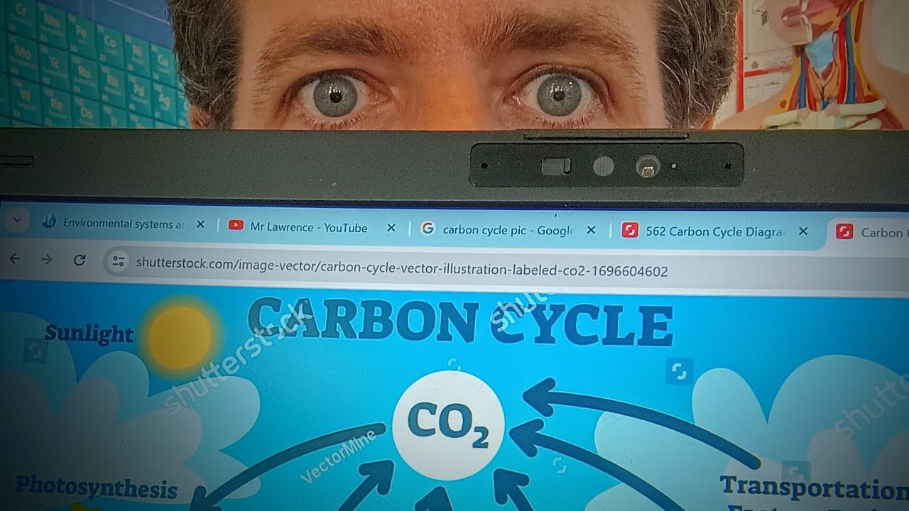 IB Biology: carbon cycle. Markscheme hack!