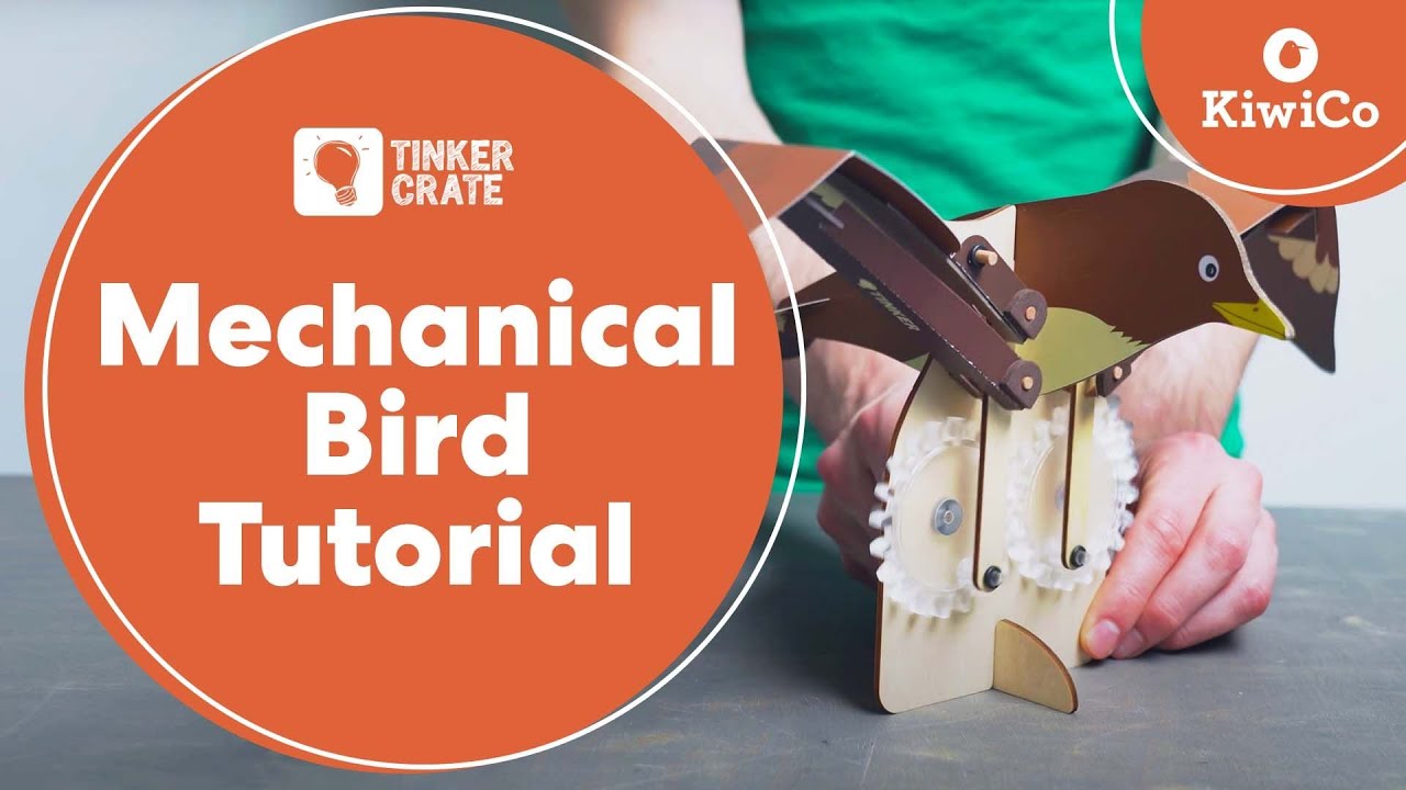 How to Build a Mechanical Bird | Tinker Crate Project Instructions | KiwiCo