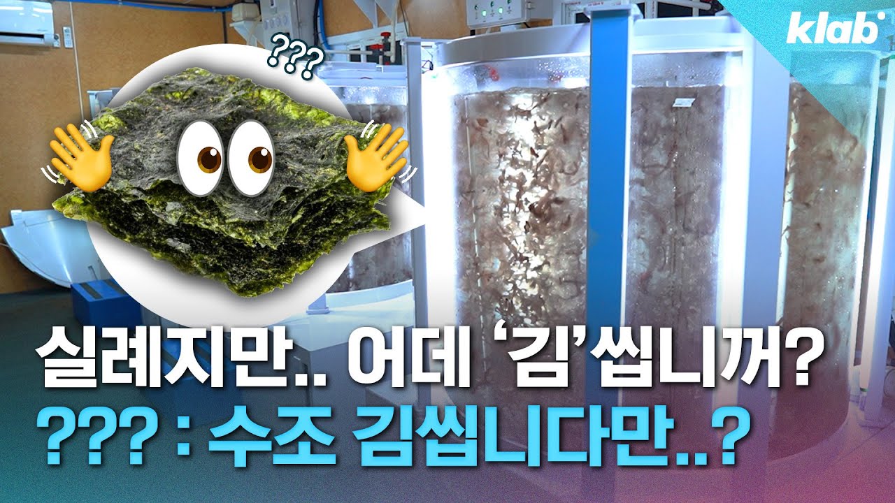 ”김 못 먹을까 봐“ 이제 바다가 아니라 땅에서도 기른다고?! 김에 진심인 한국인 근황｜크랩