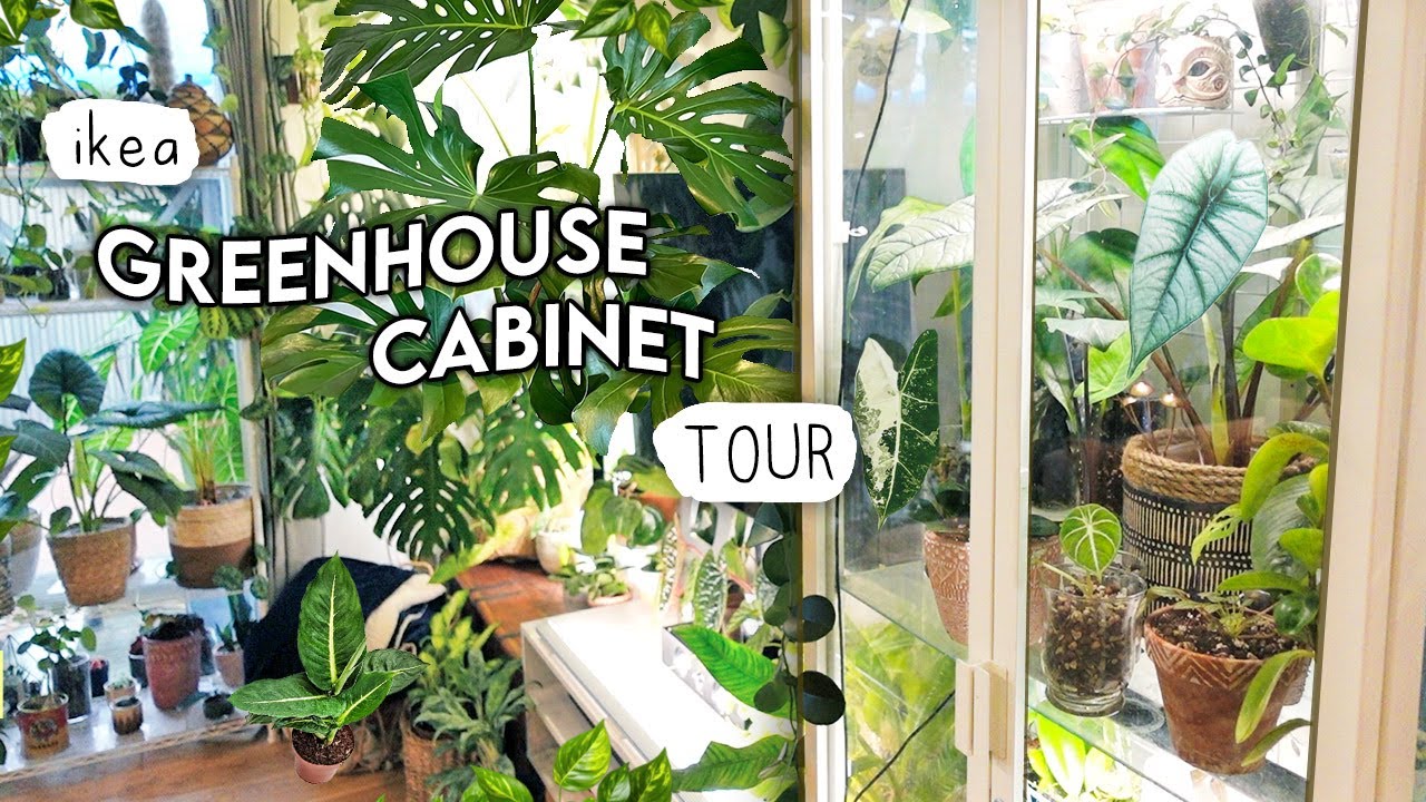 Greenhouse Cabinet Houseplant TOUR 🪴