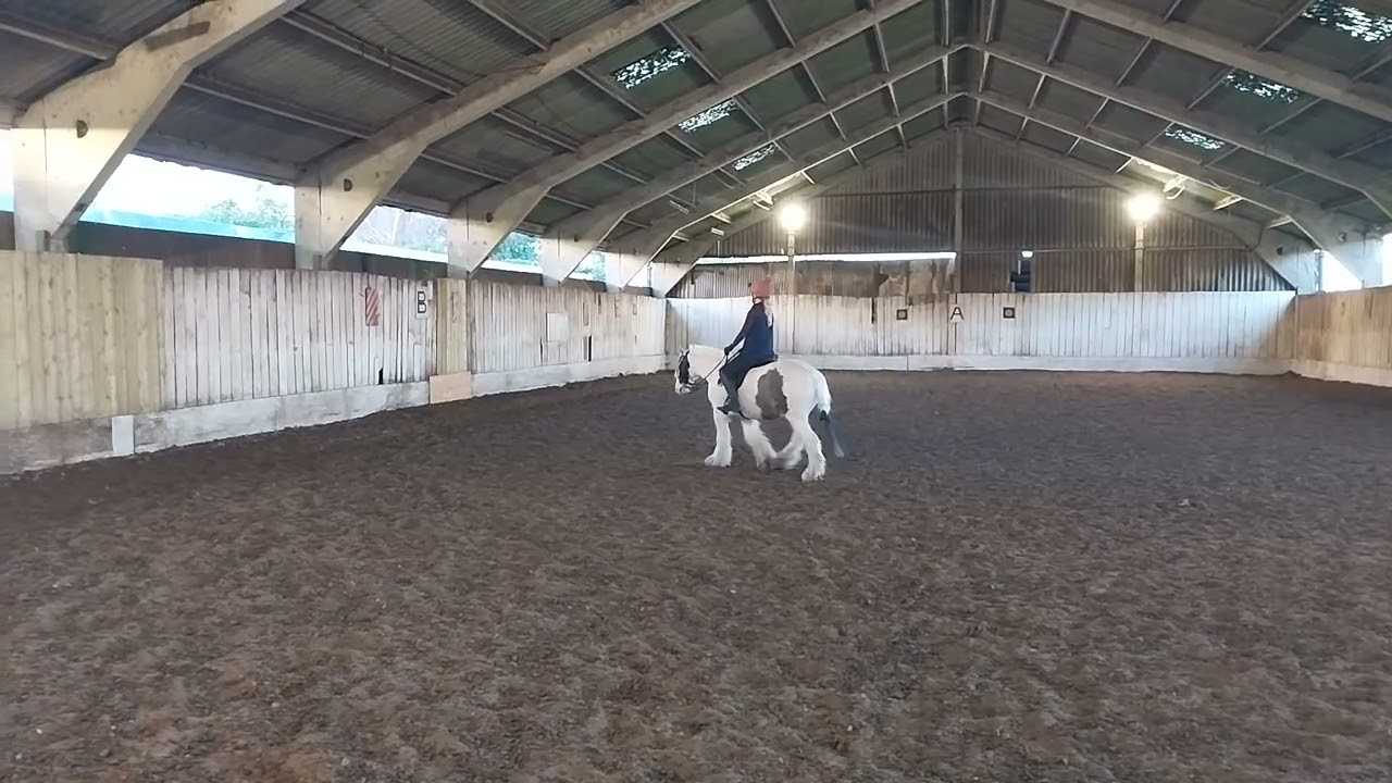 Walk test level 1 February 2026