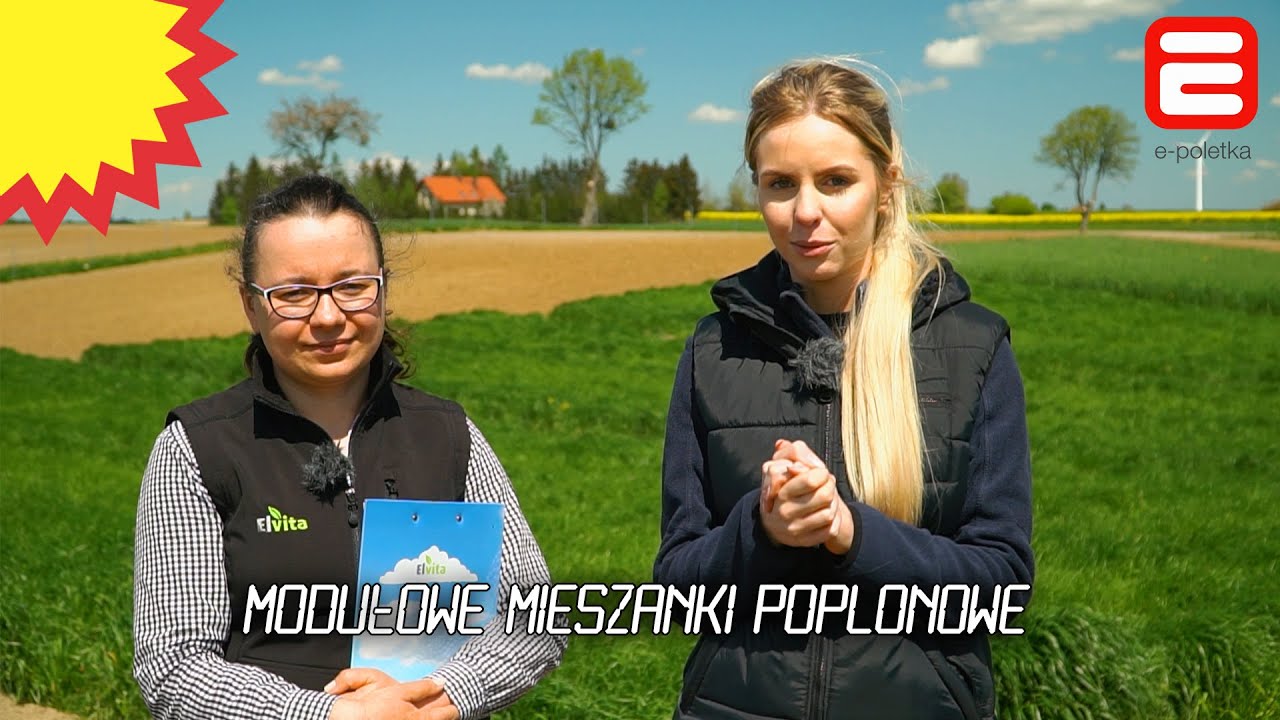 Użytki zielone: modułowe mieszanki poplonowe