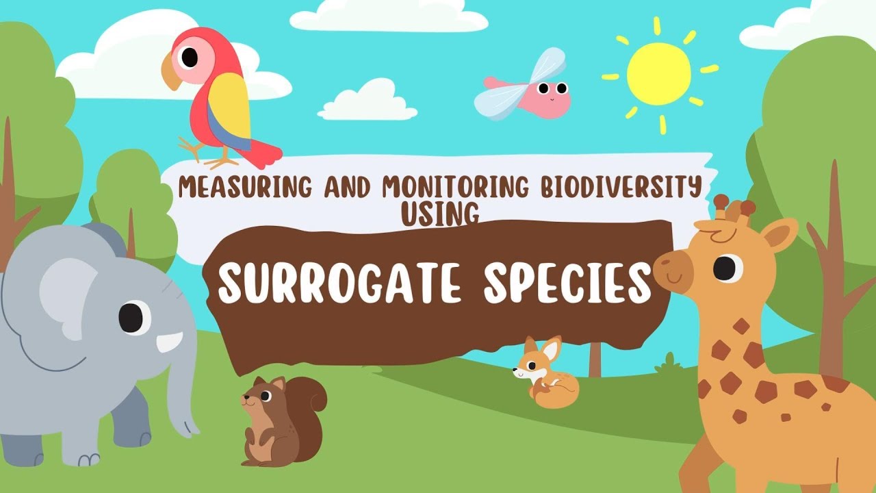 Measuring and Monitoring Biodiversity Using Surrogate Species