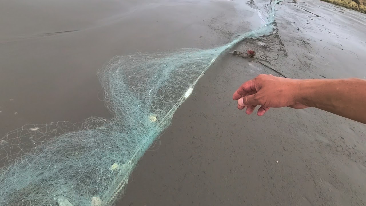 旅居台灣捕魚趣事篇：甚麼是定製網/固定網？如何布局？放網有甚麼技巧？定製網/固定網真的能捕到大量的魚嗎？下一條片揭盅！台灣的網友們一起繼續來學講港式粵語吧。