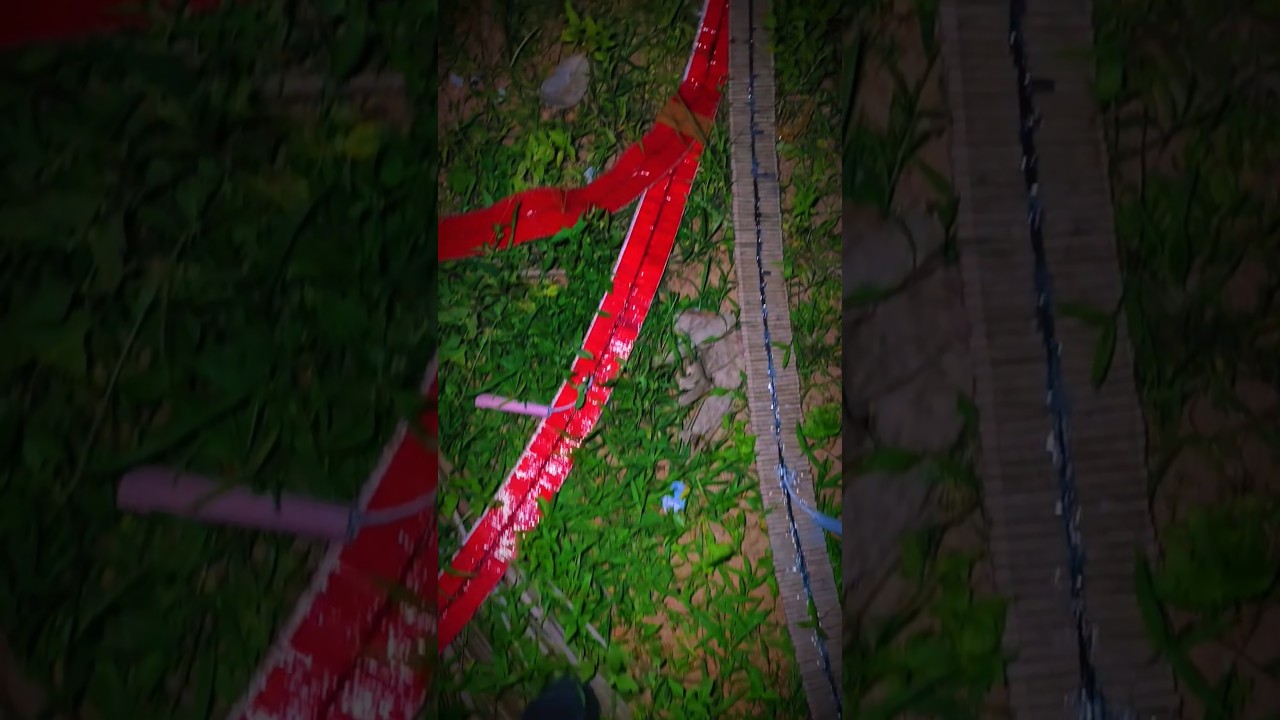 Vishu 2026 #vishu   #diwali   #shortvideo   #shortsfeed #mallu   #vishu2026 #shorts #padakkam  #fyp