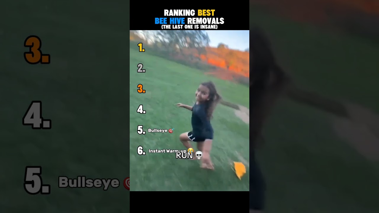 Рейтинг услуг по удалению пчелиных ульев! 😭