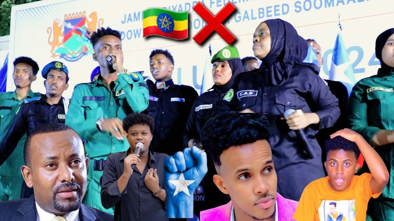 FANAANIINTA BAYDHABO OO HEES UGU JAWAABAY HEESTII AMXAARADA EE FANAANIINTA HARGEYSA