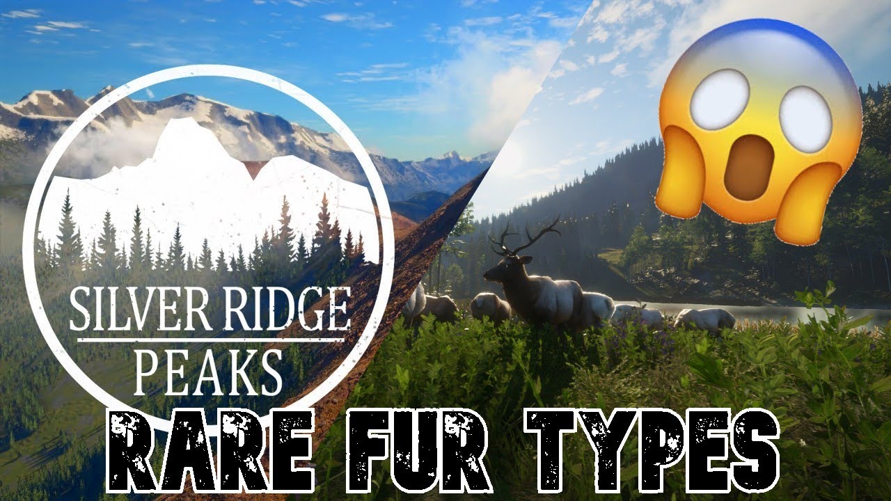 Silver Ridge Rare Fur Types! TheHunter Call Of The Wild (Piebald, Grey, etc...)