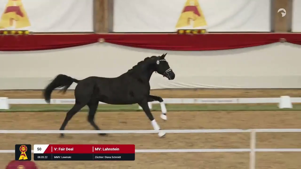 Lot 50 v. Fair Deal / Lahnstein