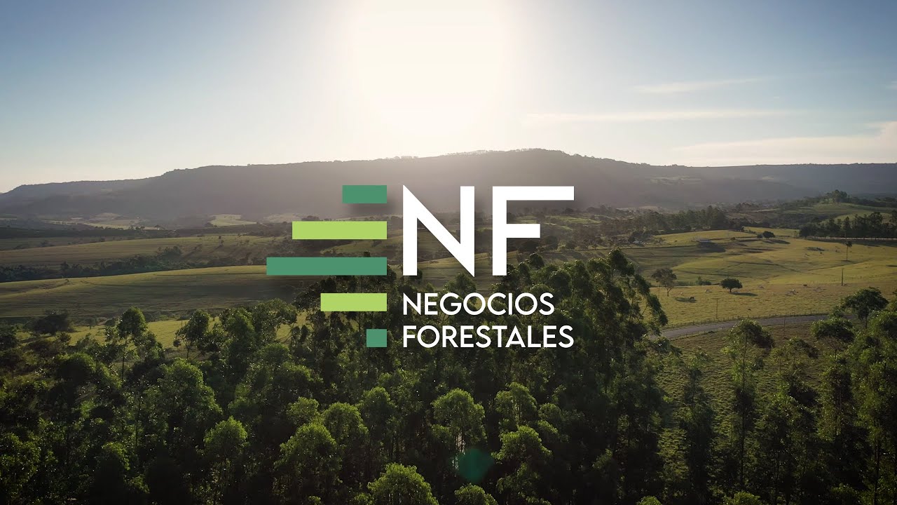 Negocios Forestales