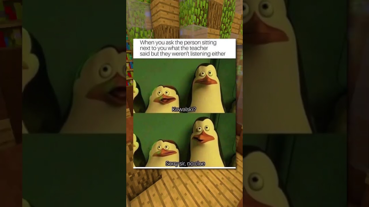 Relatable School Memes..