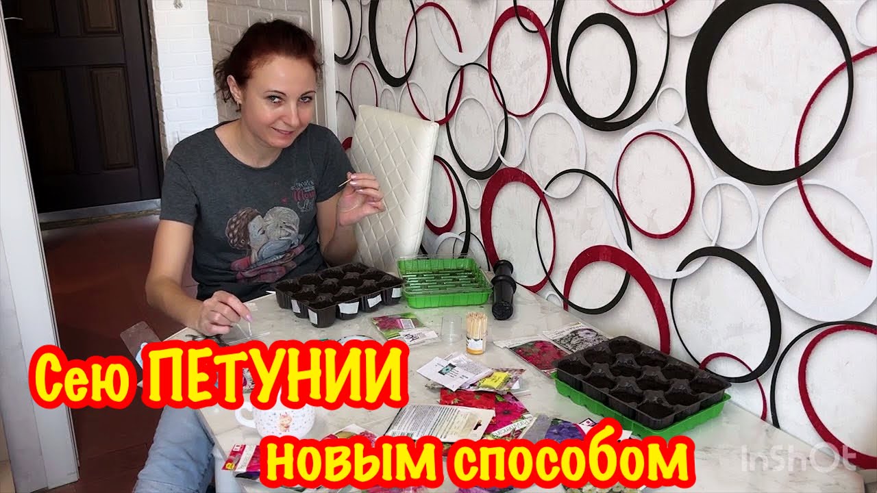 НУ НАЧАЛОСЬ/ПЕРВЫЙ ПОСЕВ ПЕТУНИИ/КАКИЕ СЕМЕНА ПЕТУНИИ Я ВЫБРАЛА/ПОДГОТОВКА СТЕЛЛАЖА ДЛЯ РАССАДЫ