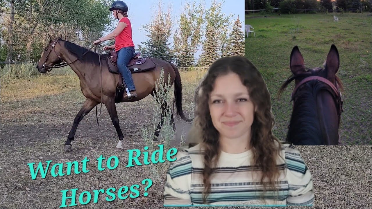 How to Get Started Horseback Riding (and what NOT to do!)