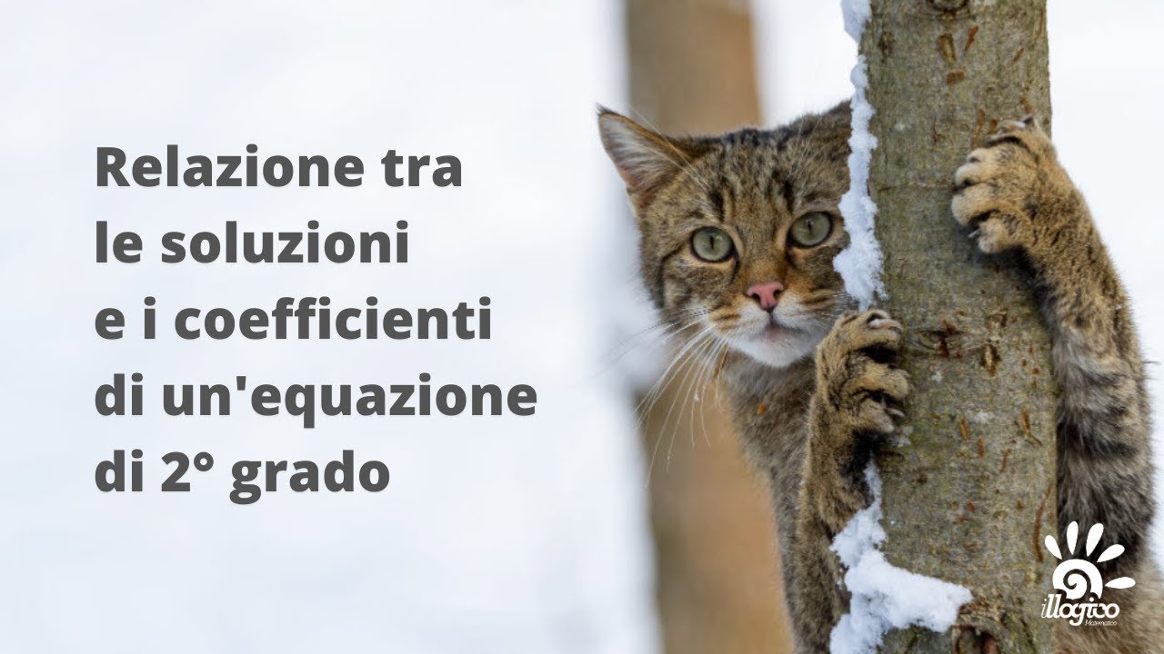 Relazione tra le soluzioni e i coefficienti