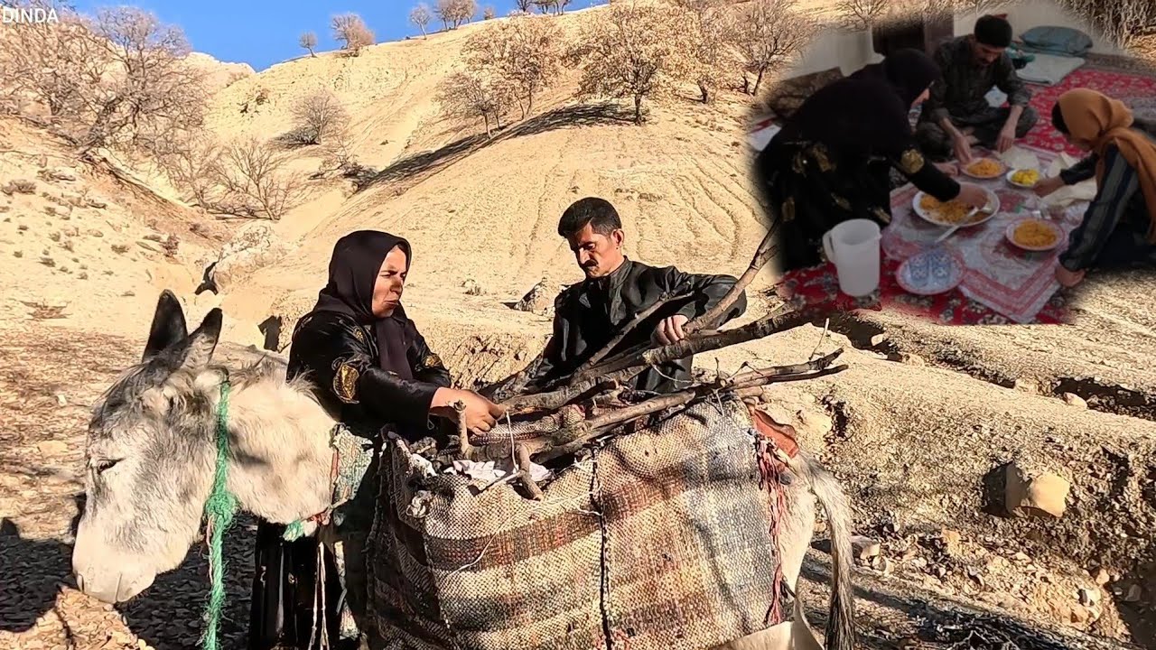 Dinda's family goes to the mountains to collect acorns and cook a delicious meal.🌄