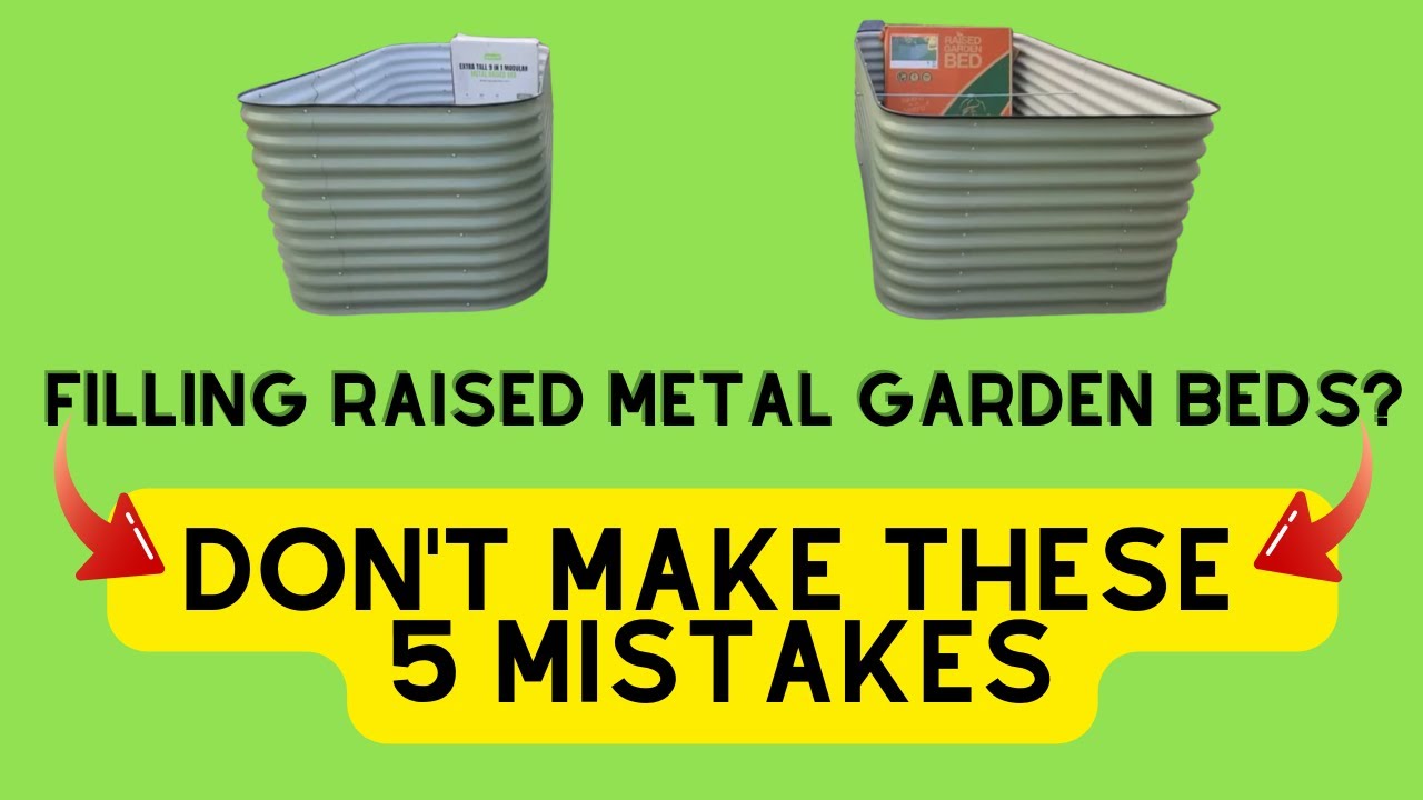 Filling a Raised Garden Bed? Watch This First or Risk These 5 Mistakes!