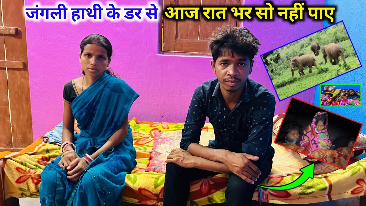 जंगली हाथी के डर से, आज रात भर सोए नहीं | #vijayriyavlogs