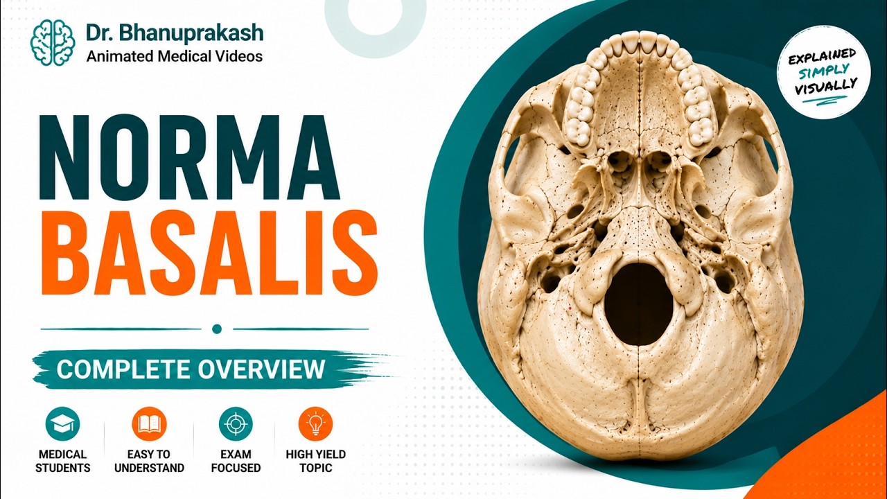 Anatomy of the Skull: Norma basalis ( Anterior part , Middle part and Posterior part )