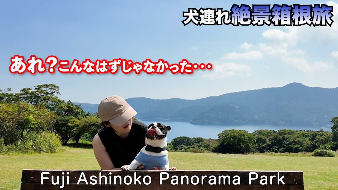 『犬と箱根旅』穴場⁉️愛犬爆走⁉️絶景富士芦ノ湖パノラマパークを占拠
