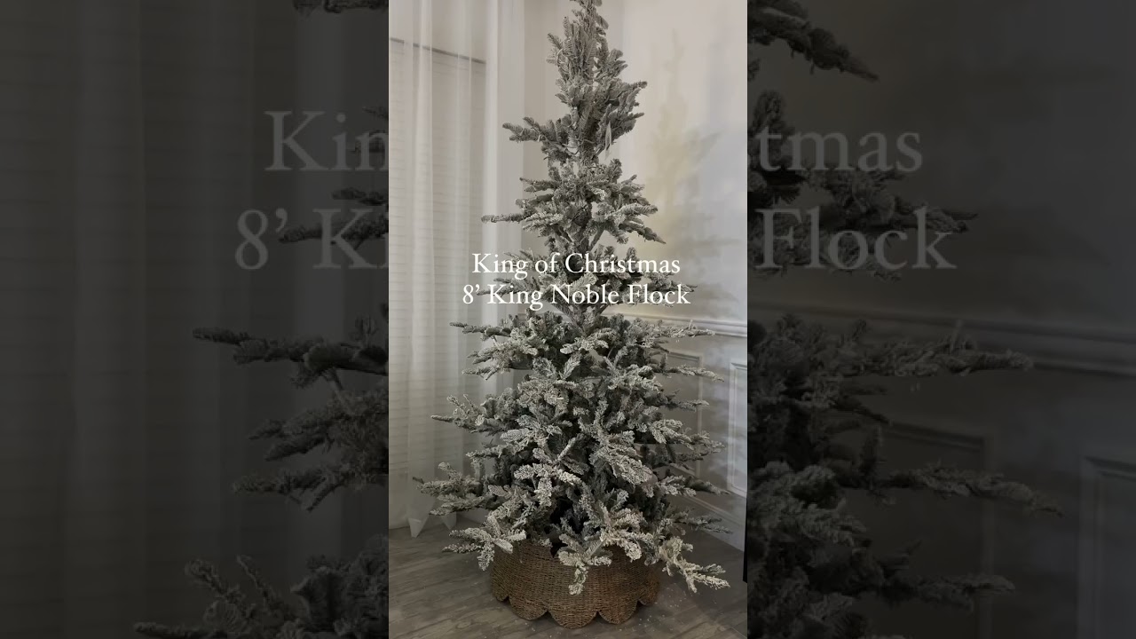 The King Noble Flock #kingofchristmas #kingofchristmastree