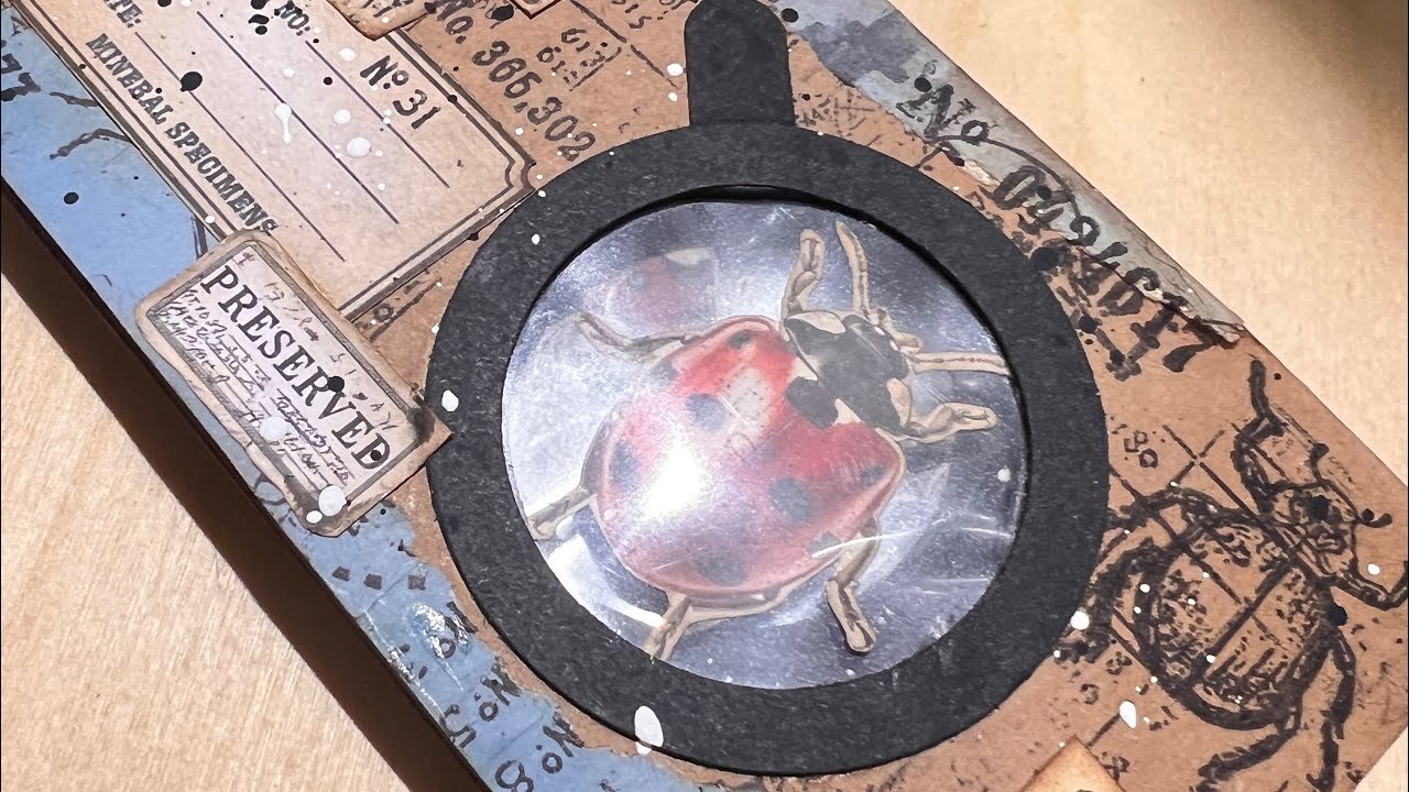 Bugtopia - An Entomology Story - Week 1