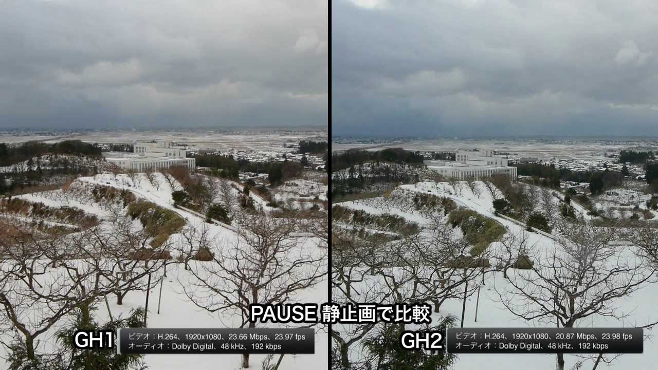 GH1 VS GH2 Vol.1