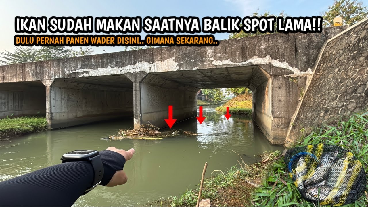 TERNYATA DI BAWAH JEMBATAN REL INI JADI SARANG IKAN!! Mancing wader teknik kumbul di spot air bening
