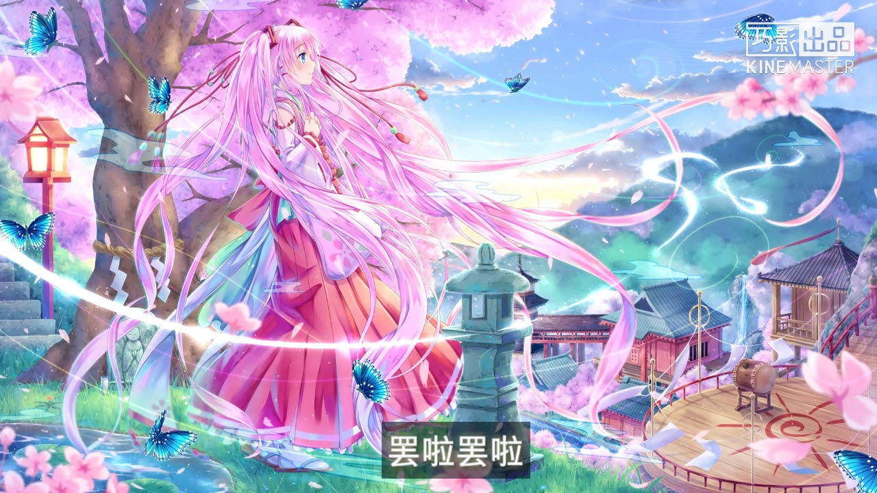 【一首好听的中文歌曲】一花依世界———Acacia