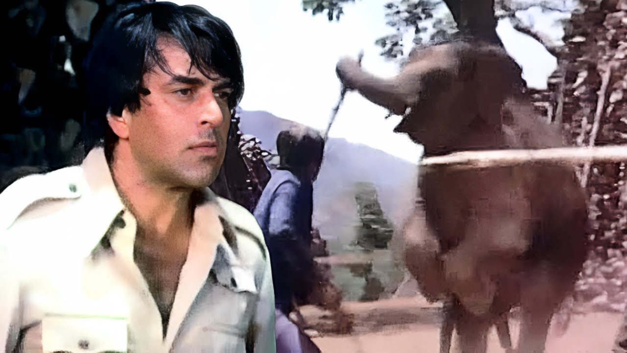 छोटे हाथी ने धर्मेंद्र को गुंडों से लड़कर बचाया | Dharmendra Action | Hema Malini | Maa (HD) Movie