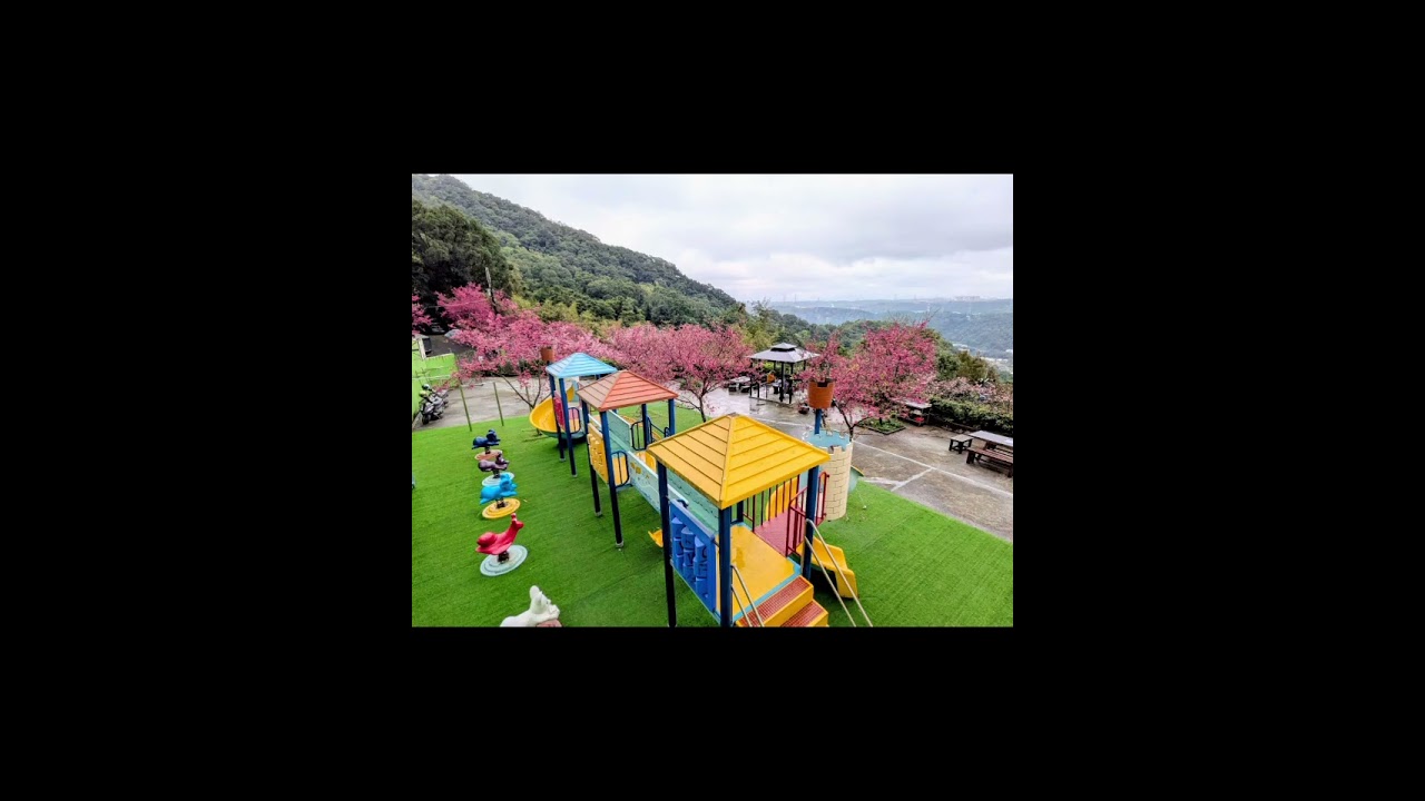 2026元德寶宮櫻花賞