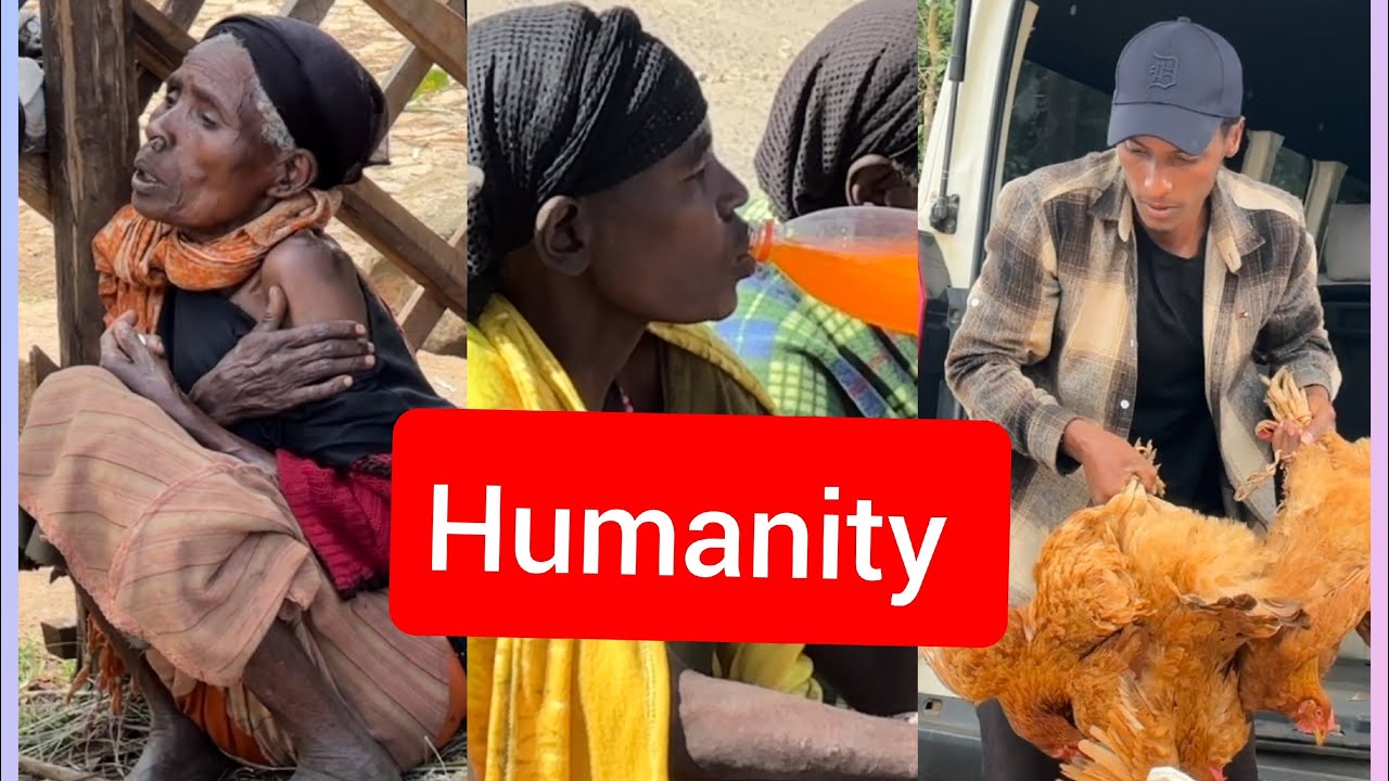 😥😥 heart breaking 💔 video 😥 Please share this video for all human Please help us