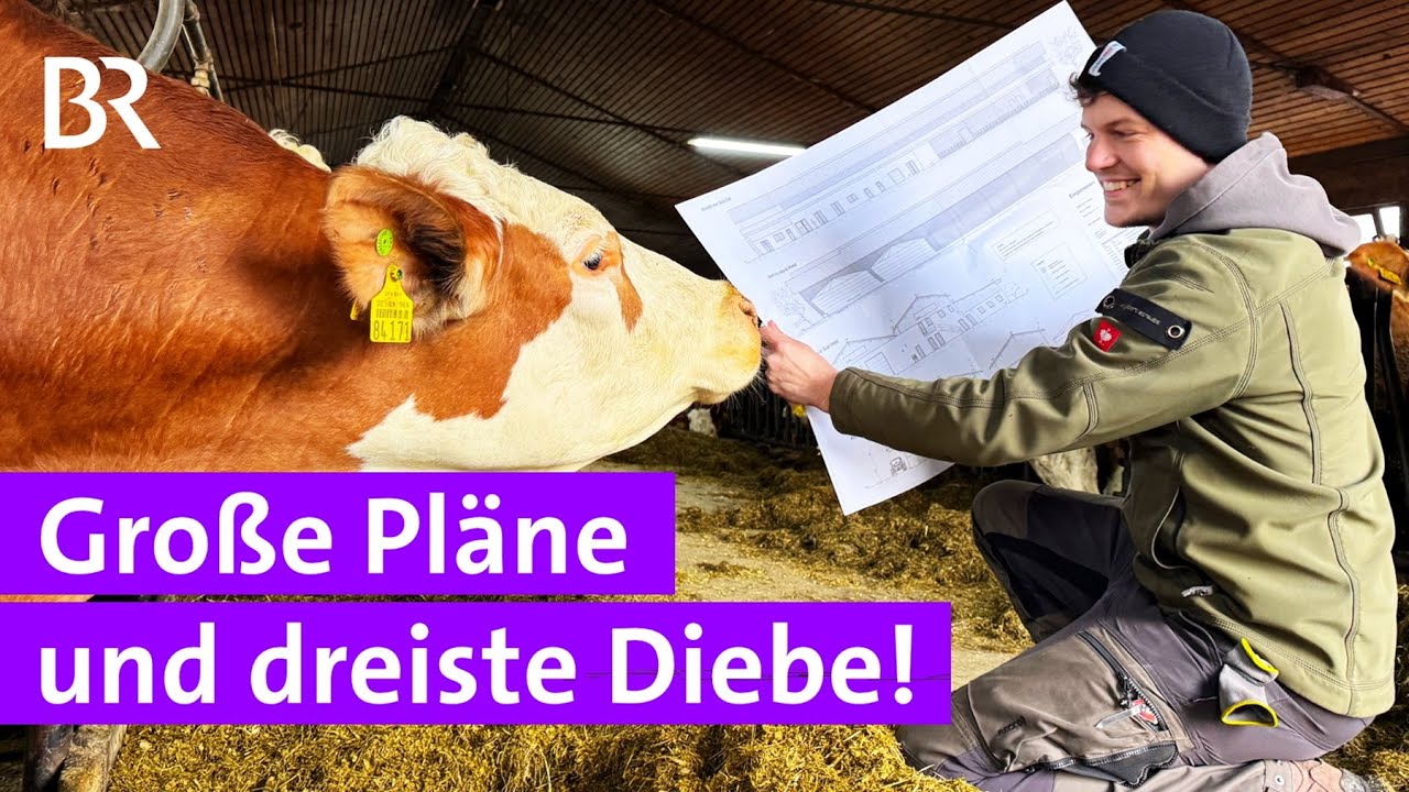 Bauer Thomas im Januar: Diebstahl im Hofladen | Jahreszeiten Serie #5 | Unser Land | BR