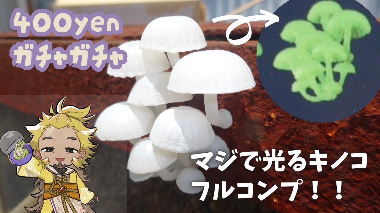 【400円ガチャ】マジで光る！キノコマグネットをフルコンプ！！【蓄光キノコ】mushroom figure magnet Gachapon Japan review