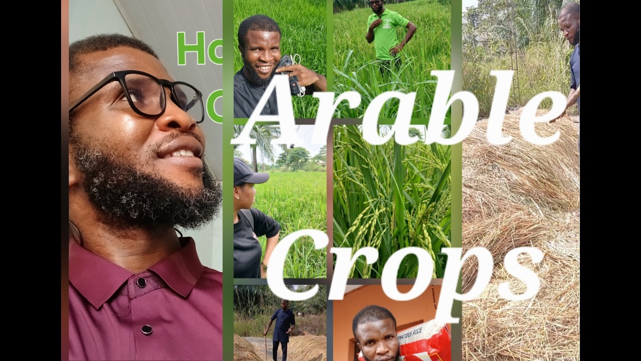 Crop Husbandry (Arable Crops) Lecture 1.