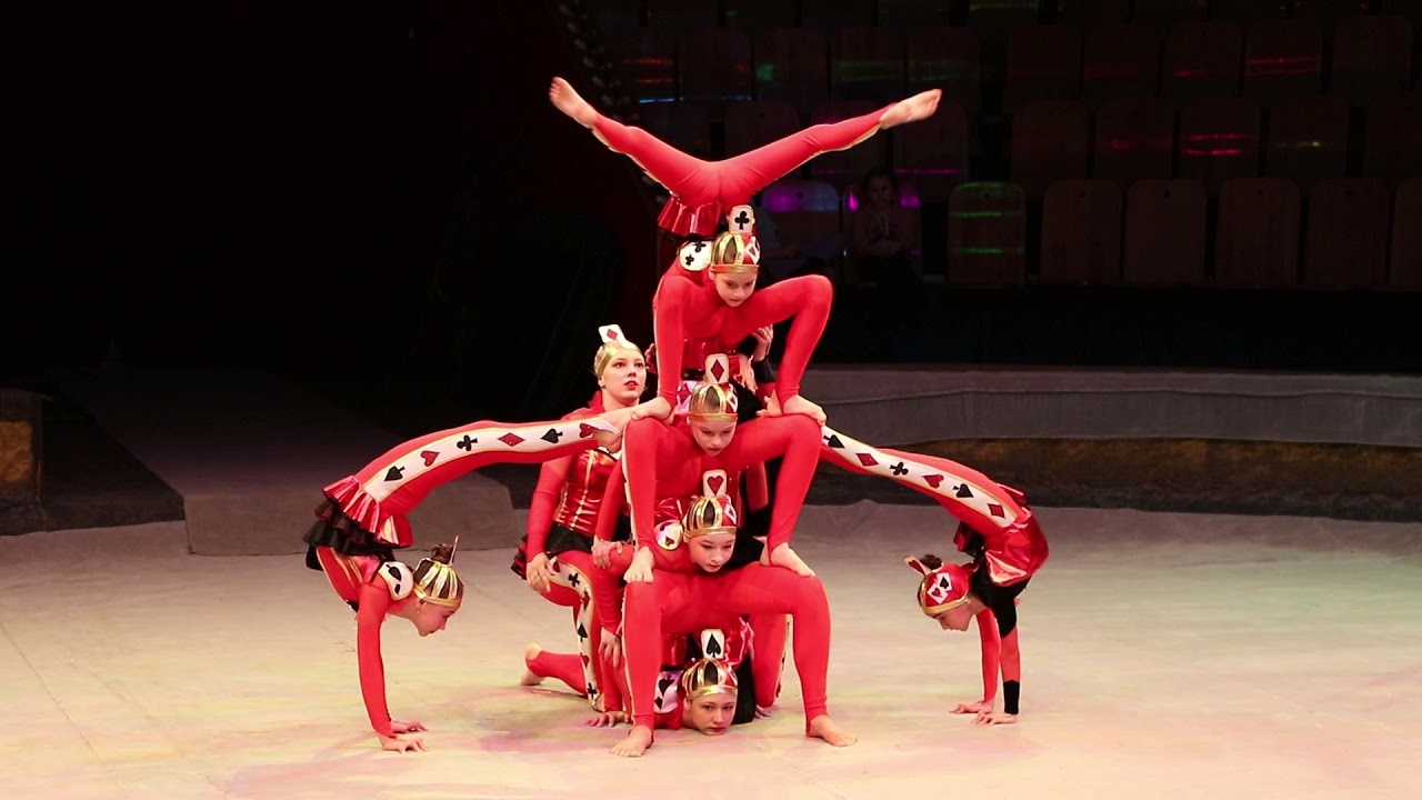 Сircus studio 
