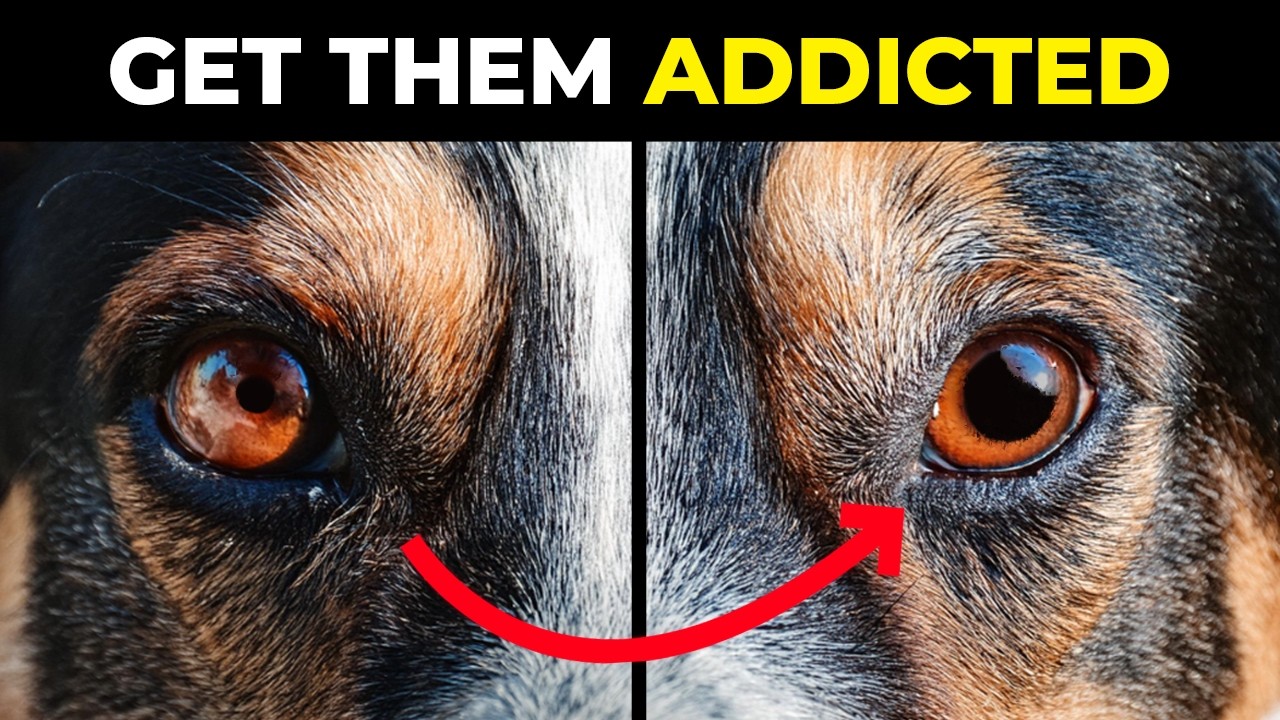 The Big Secret to STOP Reactivity – Real Results for You and Your Dog