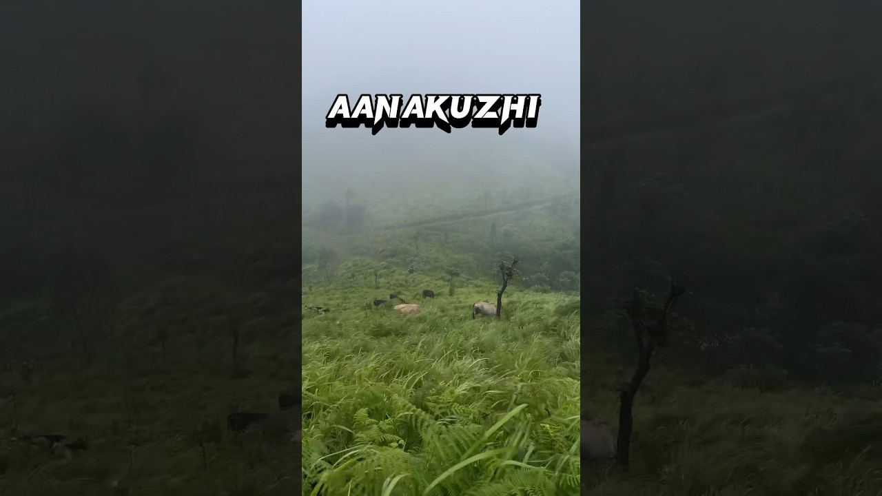 🛑ആനക്കുഴി, അട്ടപ്പാടി - ട്രക്കിങ്ങിനും ഓഫ് റോഡിനും പറ്റിയ സ്ഥലം 💥‼️#youtubeshorts #trending