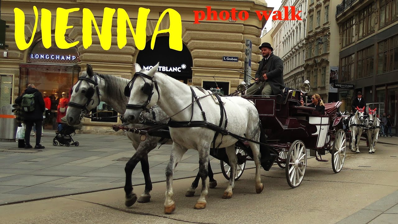 photo walk VIENNA