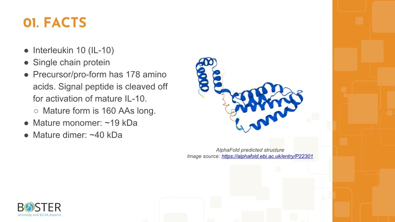 Learn IL-10 in 3 minutes | Interleukin 10