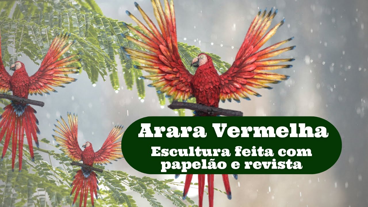 Criei escultura de uma arara vermelha incrível usando papelão e revista