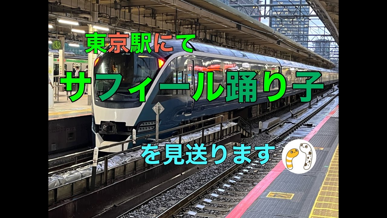 東京駅にて特急サフィール踊り子、草津四万、新幹線、成田エクスプレスを見送ります【のぞみさくら火星人】