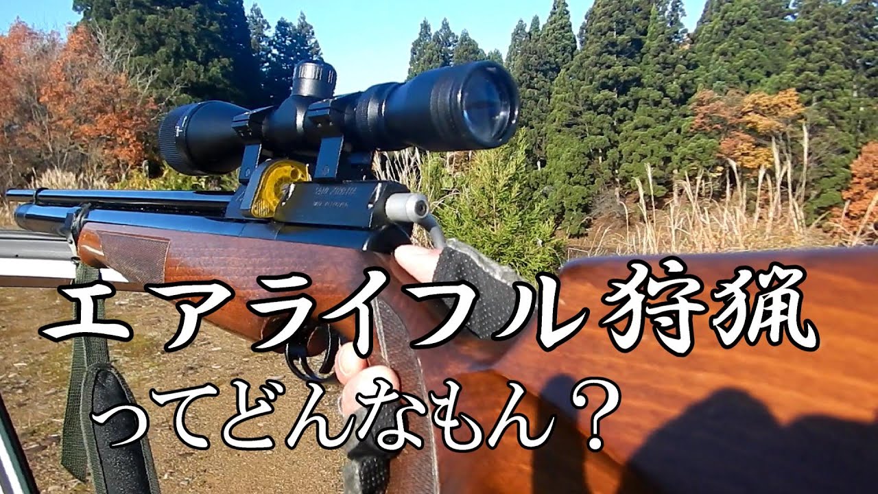エアライフル、空気銃ってどうなの？ AIR ARMS S410