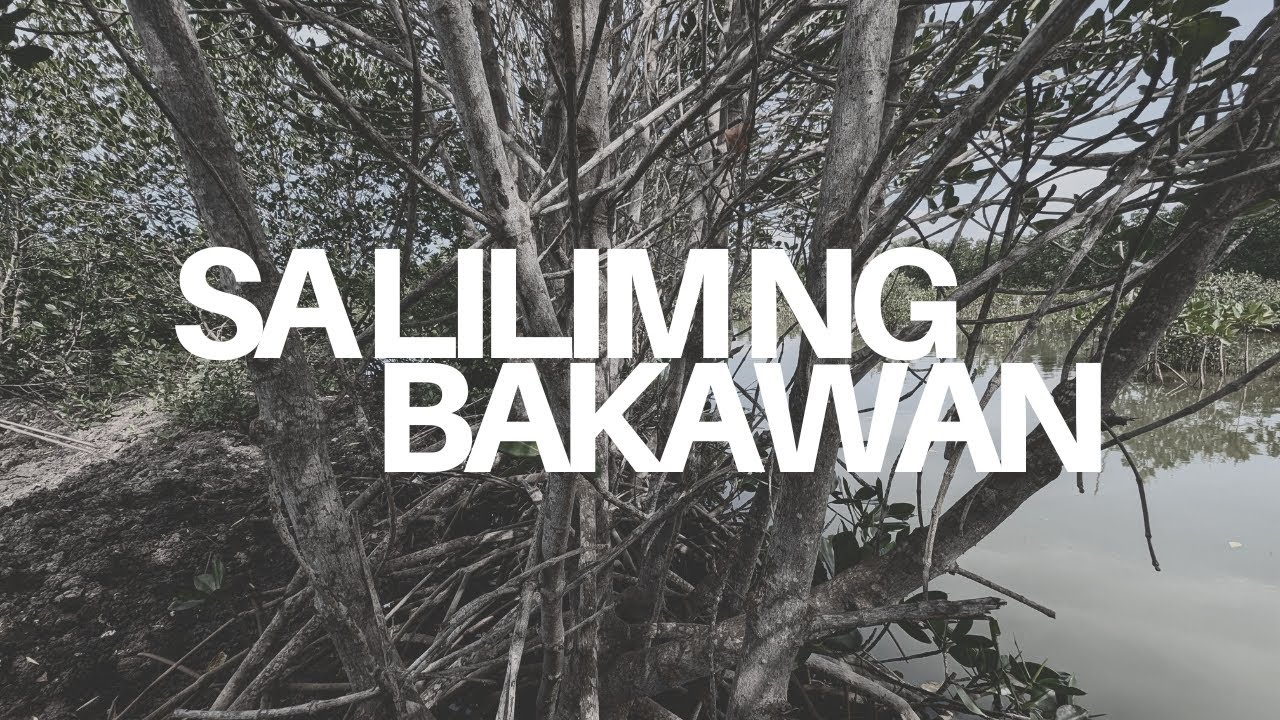 Sa Lilim ng Bakawan