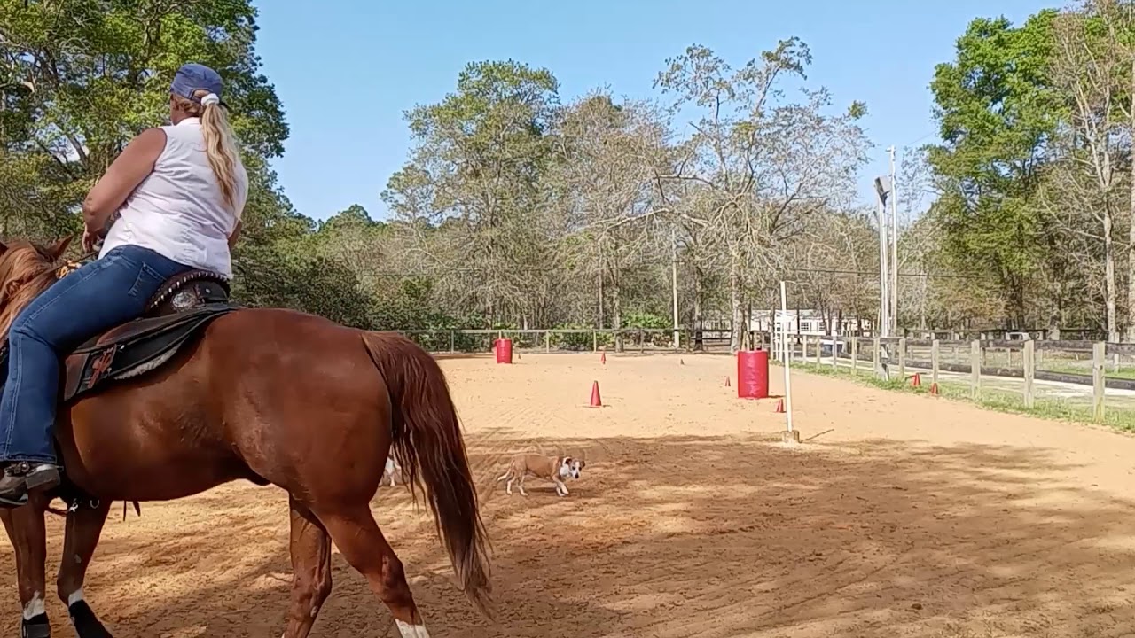 When & how to add speed on barrels