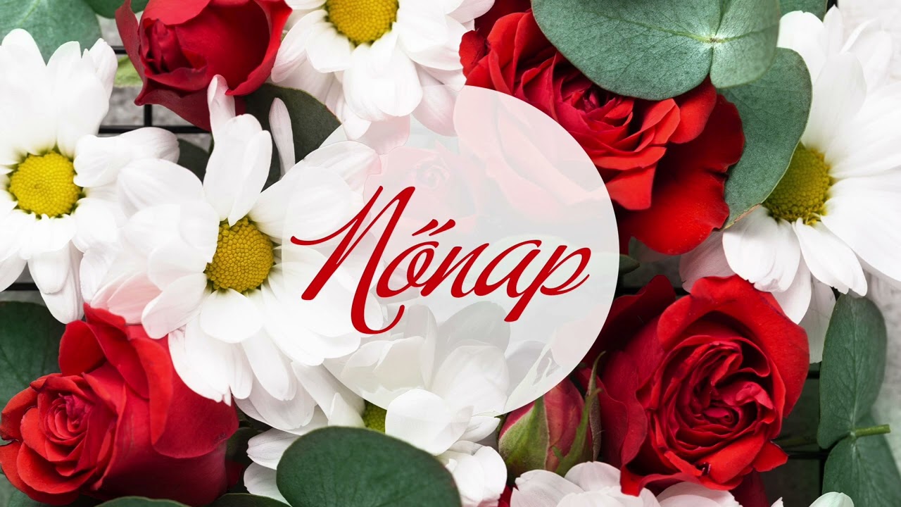 Slágercsokor a legszebb dalokból Nőnapra (Nika se perimeno, Angyallány, Lady Carnival, Carolina)