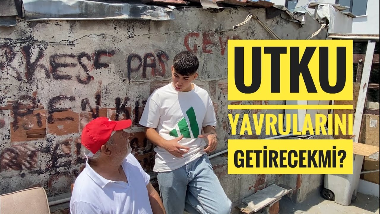 UTKU ÇATIYA GELDİ. DAMIZLIK KUŞLARINI ANLATTI SON DURUM NEDİR?