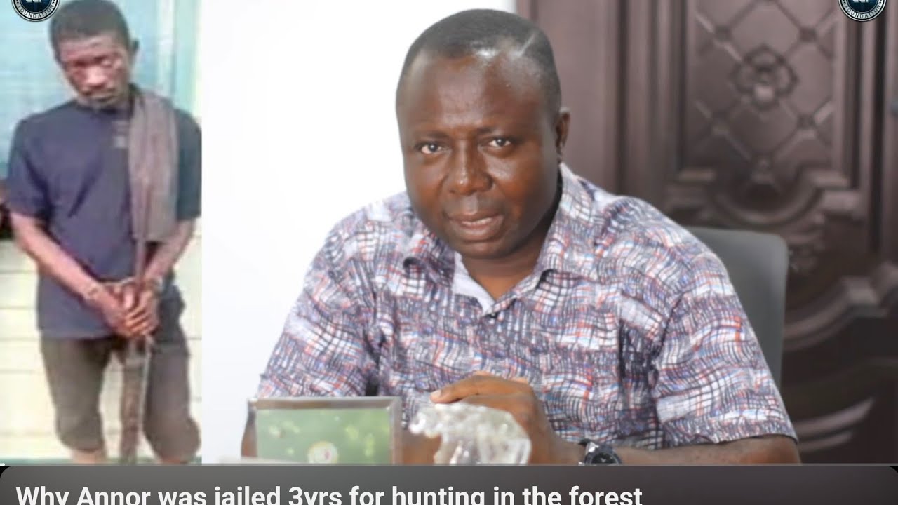 Why Annor was jailed 3yrs for hunting in the forest