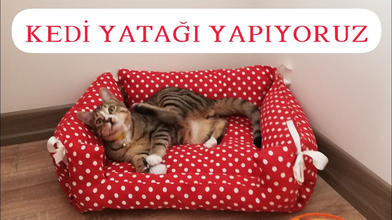 KEDİ YATAĞI YAPIYORUZ